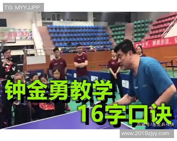 北京乒乓球队的节奏探讨与未来发展方向的深度分析与思考